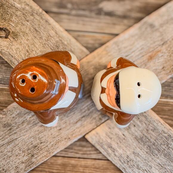 Thanksgiving Kitchen Decor Salt and Pepper Shakers-Ceramic Pilgrim Pair-Publix - Picture 6 of 7
